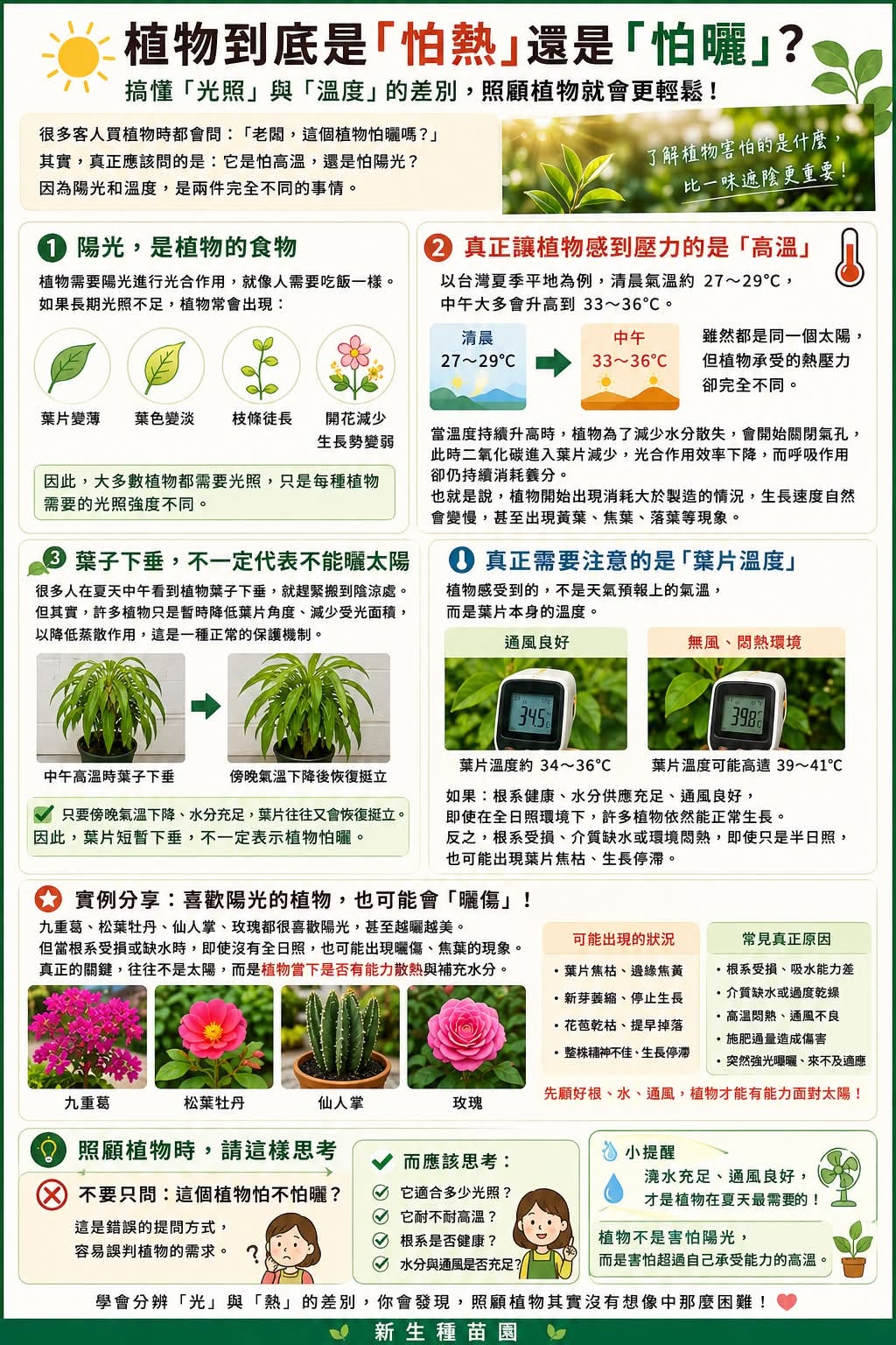 植物到底是「怕熱」還是「怕曬」?