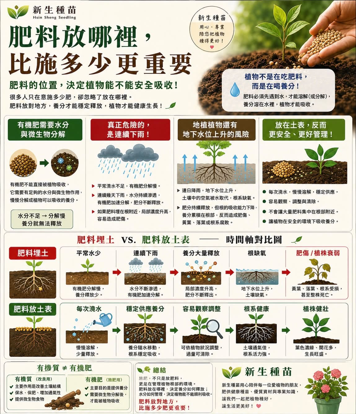 肥料放哪裡，比施多少更重要