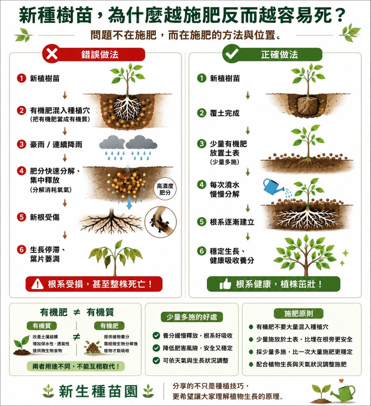 新種樹苗，為什麼越施肥反而越容易死？