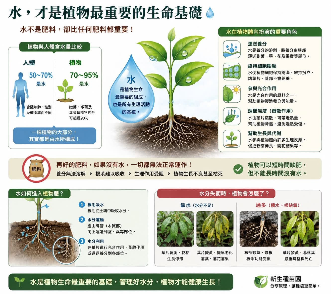 水，才是植物最重要的生命基礎