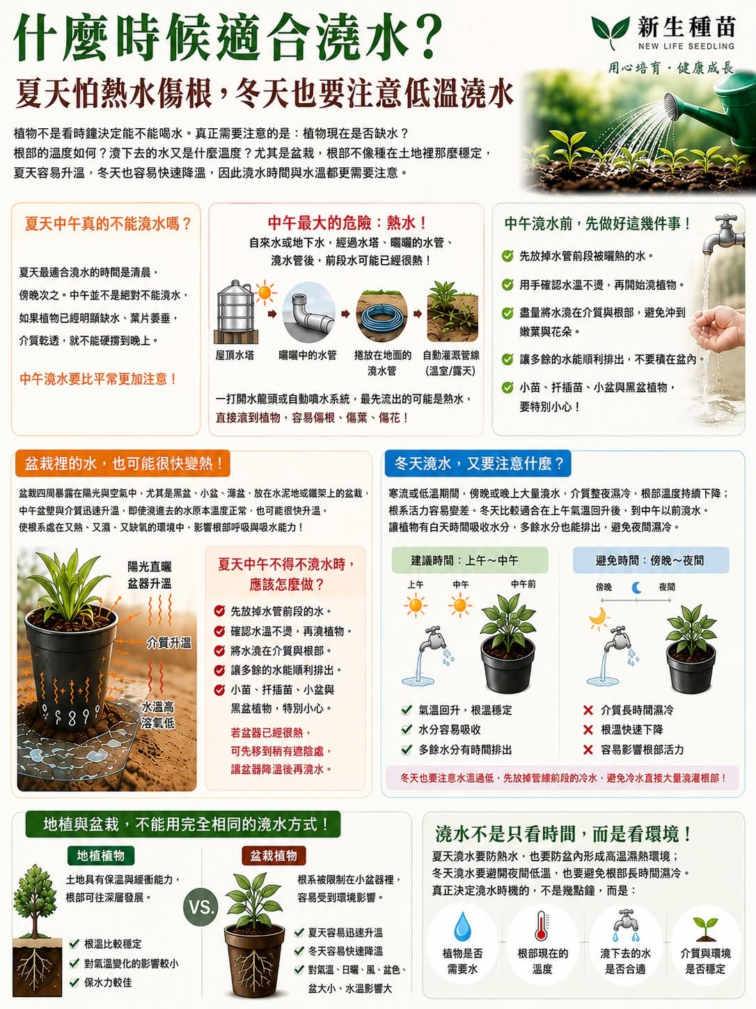 植物什麼時候適合澆水？