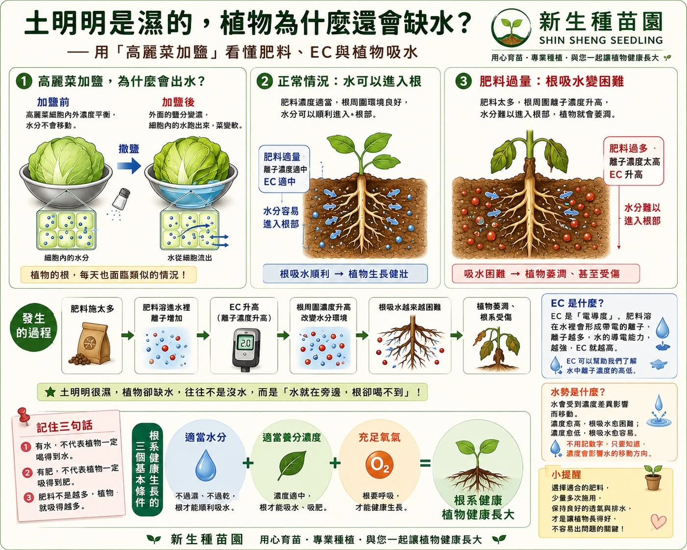 土明明是濕的，植物為什麼還會缺水？