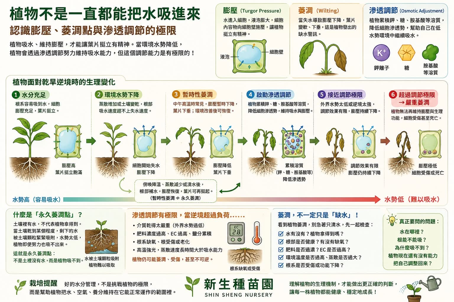植物不是一直都能把水吸進來